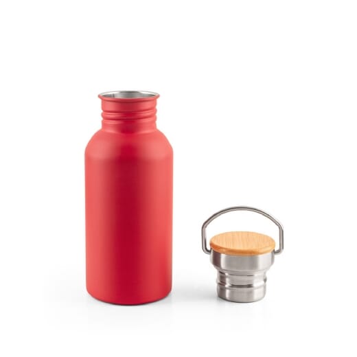 Bottiglia in acciaio inossidabile EWING - 580 ml