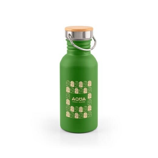 Bottiglia in acciaio inossidabile EWING - 580 ml
