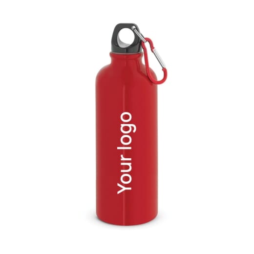 Borraccia in acciaio con moschettone KELCE 550 ml