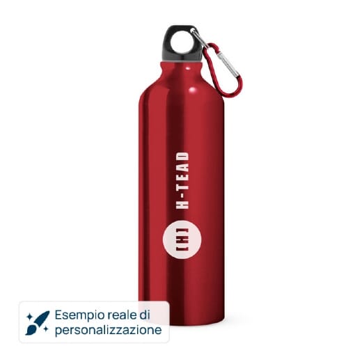 Borraccia in alluminio LANDSCAPE L - 750ml