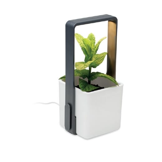 Giardino da interno con luce led LUSHLET
