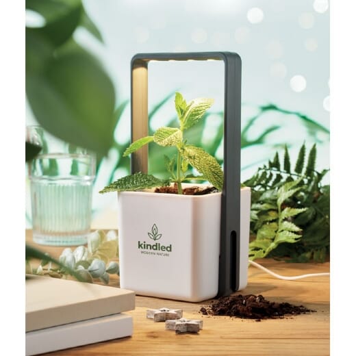 Giardino da interno con luce led LUSHLET