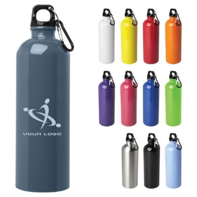 Borraccia in acciaio inossidabile OREGON - 750 ml