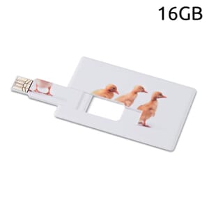 Chiavetta USB MEMORAMA 16GB