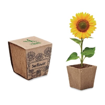 Vaso di torba SUNFLOWER KIT