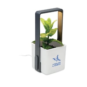 Giardino da interno con luce led LUSHLET