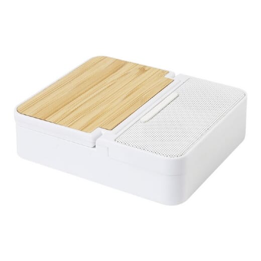 Cassa wireless con caricatore wireless HOBOFI