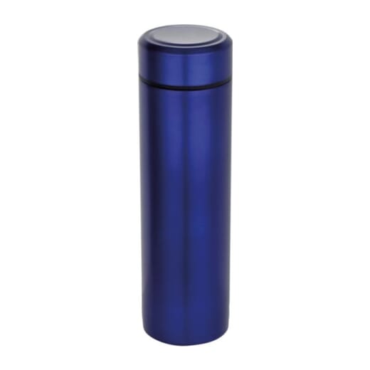 Thermos in acciaio inox con infusore per tè TAYLOR 450 ml