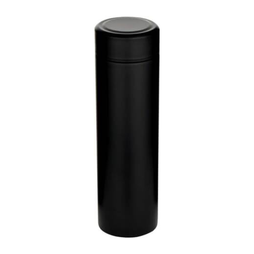 Thermos in acciaio inox con infusore per tè TAYLOR 450 ml