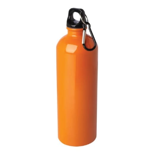 Borraccia in acciaio inossidabile OREGON - 750 ml
